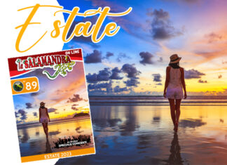 “la Salamandra” n.89