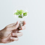 Sustainable energy campaign hand holding tree light bulb media r