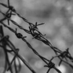 Barbed rusty wire on a metal fence closeup, black and white photo, blurry background