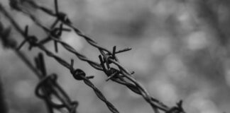 La memoria che unisce