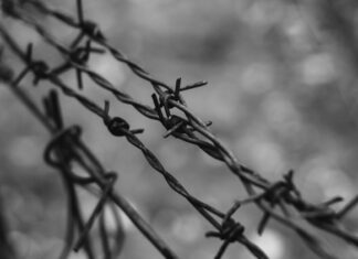 La memoria che unisce