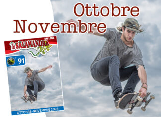 “la Salamandra” n.91