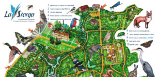 Caccia al tesoro in mezzo alla natura