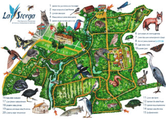 Caccia al tesoro in mezzo alla natura