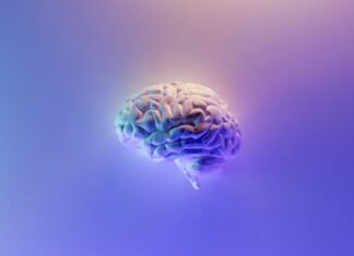 Socrate è stato il primo boomer?