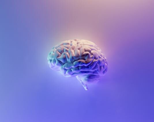 Socrate è stato il primo boomer?