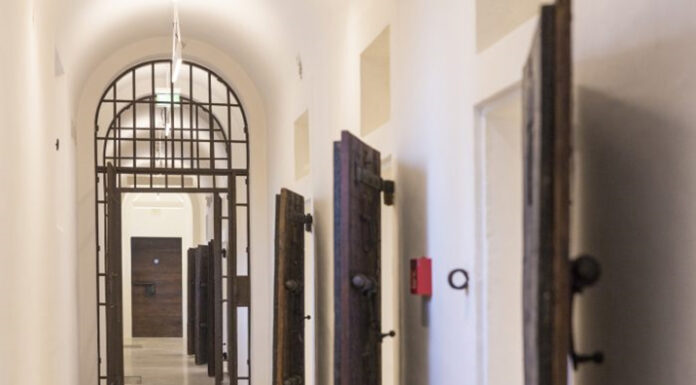 La guerra ci interroga