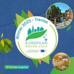 treviso green leaf 2025