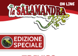 “Treviso, Città che Legge”