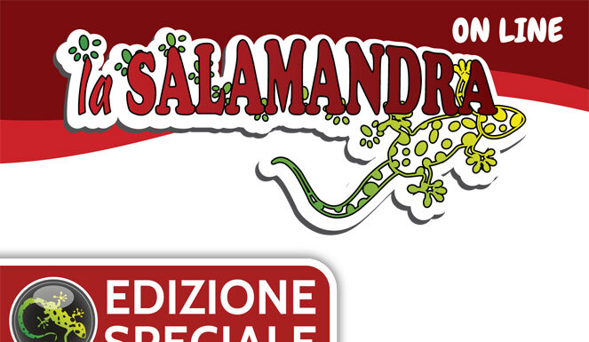 “Treviso, Città che Legge”