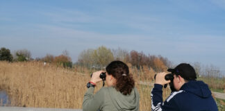 Un ventaglio di opportunità ed esperienze