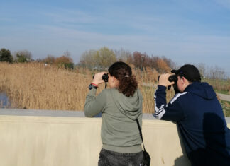 Un ventaglio di opportunità ed esperienze