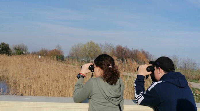 Un ventaglio di opportunità ed esperienze