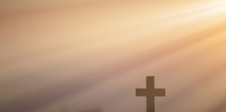 “Vittime di mafia”