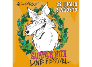 Summer Nite Love Festival 2024