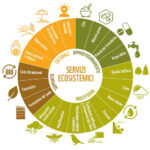 Figura 2-servizi_ecosistemici