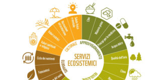 Giornata ecologica regionale