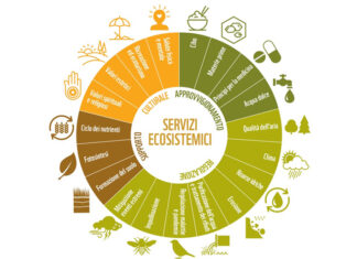 Giornata ecologica regionale