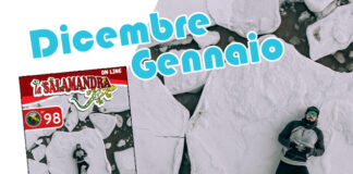 “la Salamandra” n.98