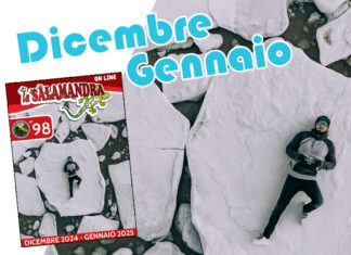 “la Salamandra” n.98