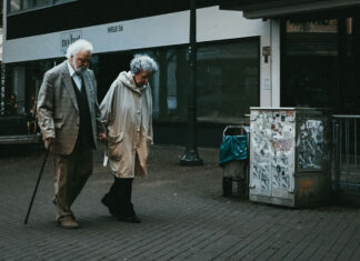 L’equilibrio dei porcospini