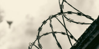 L’importanza del rumore