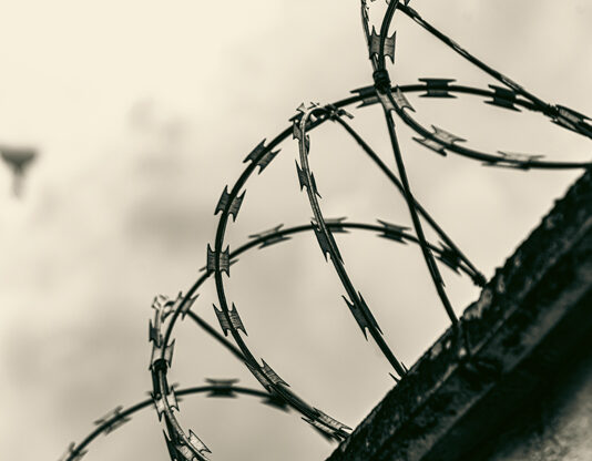 L’importanza del rumore