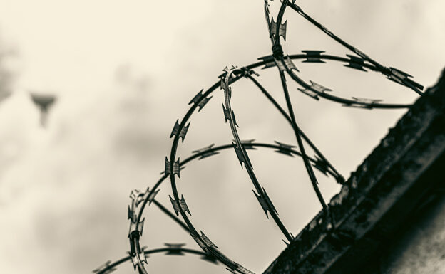 L’importanza del rumore