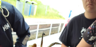 Gita “biodiversa” a Venezia