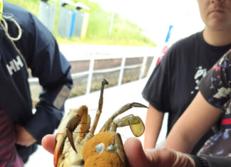 Gita “biodiversa” a Venezia