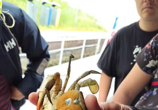 Gita “biodiversa” a Venezia