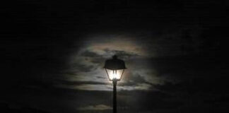 Strage silenziosa nelle strade vuote