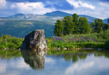 The magic of nature and natural landscapes