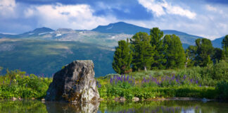 The magic of nature and natural landscapes