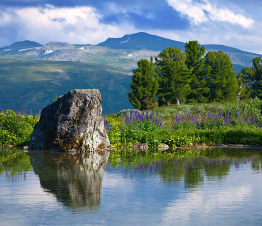 The magic of nature and natural landscapes