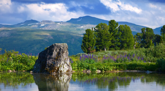 The magic of nature and natural landscapes