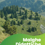 Malghe didattiche 2025