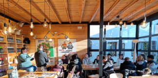 Viaggio alla scoperta della birra