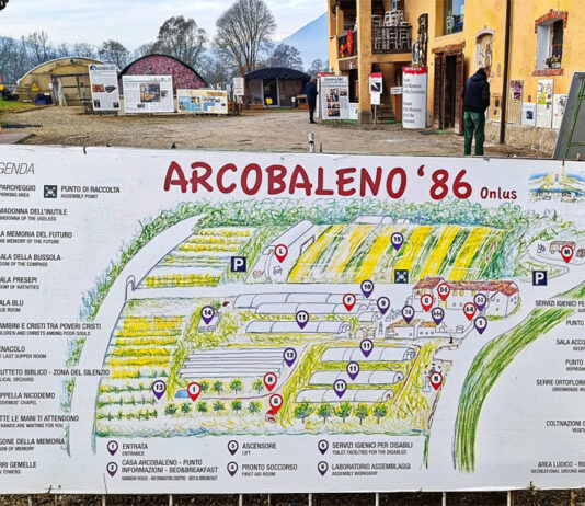 Dall’esperienza alle parole