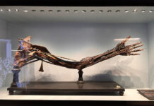 Una mattinata al MUSME