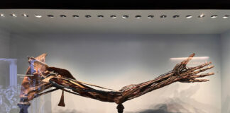 Una mattinata al MUSME