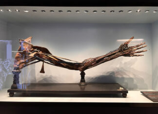 Una mattinata al MUSME