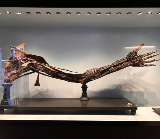 Una mattinata al MUSME