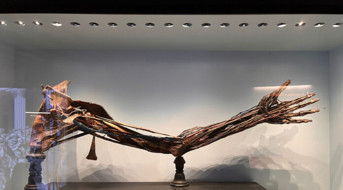 Una mattinata al MUSME