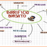 schema intro