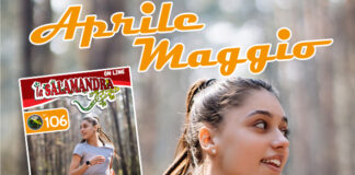 “la Salamandra” n.106