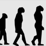 foto_evoluzione biologica