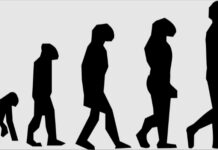 L’evoluzione biologica: teorie e sviluppo dell’uomo