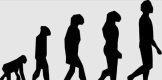 L’evoluzione biologica: teorie e sviluppo dell’uomo