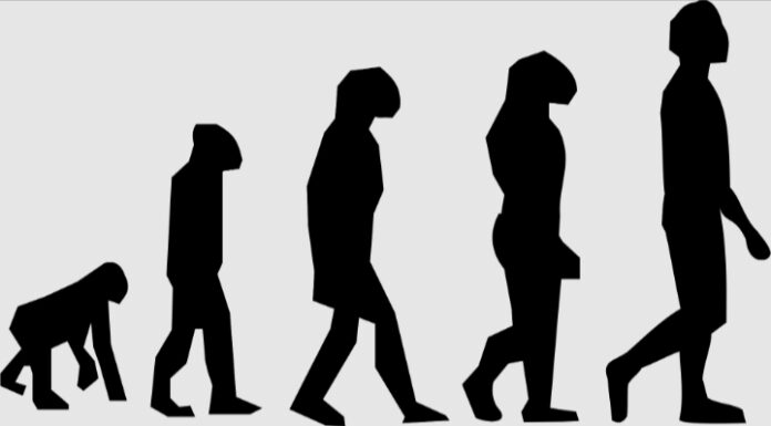L’evoluzione biologica: teorie e sviluppo dell’uomo